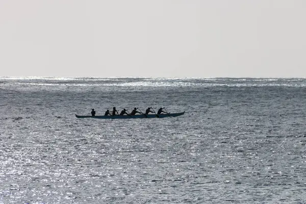 Avara Demiri kanosu, ABD 'nin Hawaii eyaletindeki Oahu adasının kıyısında tek bir teknede ışığa karşı kürek çekiyor.