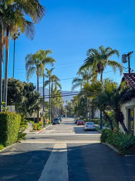 Santa Barbara, Kaliforniya, ABD - 15 Nisan 2024: Santa Barbara şehir merkezindeki Natoma Bulvarı manzaralı