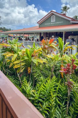 Hanalei, Kauai, Hawaii, ABD - 9 Nisan 2024: Kalabalık Hanalei Ekmek Şirketi bulutlu mavi gökyüzüne karşı
