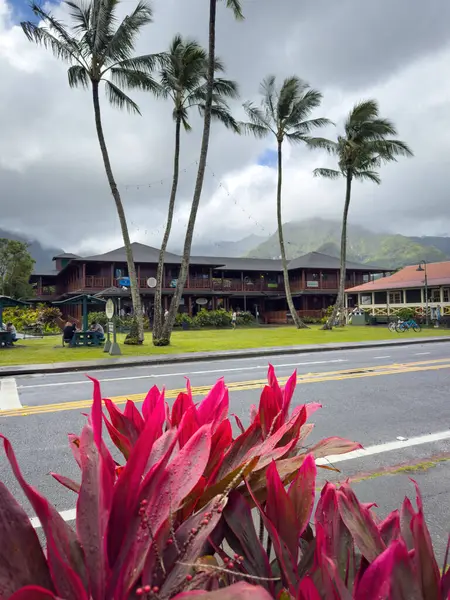 Hanalei, Kauai, Hawaii, ABD - 9 Nisan 2024: Bulutlu gökyüzüne karşı palmiye ağaçları ile Hanalei merkezi