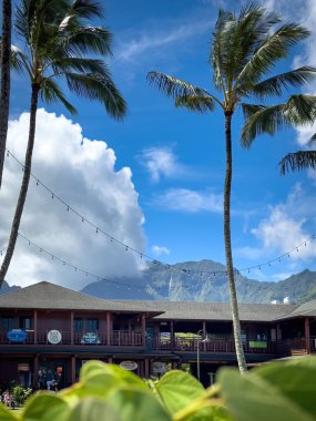 Hanalei, Kauai, Hawaii, ABD - 10 Nisan 2024: Palmiye ağaçları ile bulutlu mavi gökyüzüne karşı Hanalei merkezi
