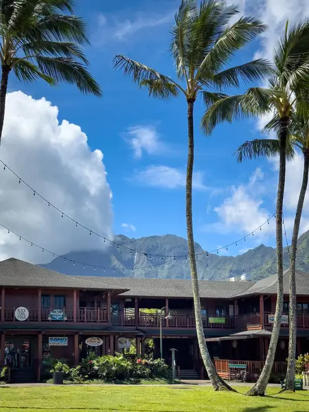 Hanalei, Kauai, Hawaii, ABD - 10 Nisan 2024: Palmiye ağaçları ile bulutlu mavi gökyüzüne karşı Hanalei merkezi