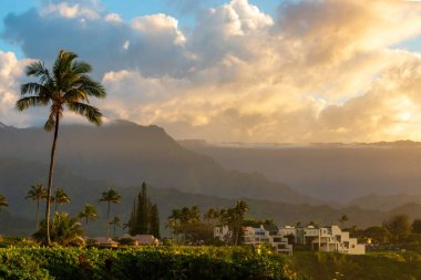 Günbatımında ABD 'de, Kauai, Hawaii' de, Napali Sahil Dağları 'ndaki palmiye ağaçlarının manzarası.