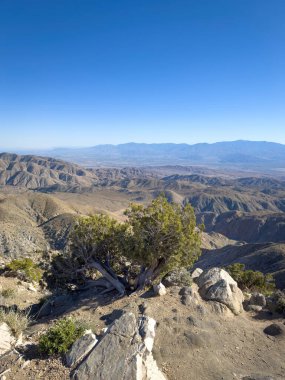 Keys View 'den manzara Joshua Tree Ulusal Parkı' ndan Little San Bernardino Dağları 'ndan Coachella Vadisi, California, ABD' ye kadar uzanır.