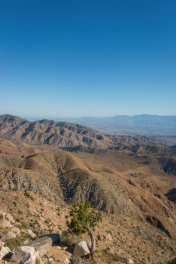 Keys View 'den manzara Joshua Tree Ulusal Parkı' ndan Little San Bernardino Dağları 'ndan Coachella Vadisi, California, ABD' ye, mavi gökyüzüne karşı