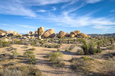 Kaya oluşumunun manzarası ve Arch Rock Trail 'deki Yucca Palmiyesi ağacı, Joshua Tree Ulusal Parkı, Kaliforniya, Birleşik Devletler mavi gökyüzüne karşı bulutlar.