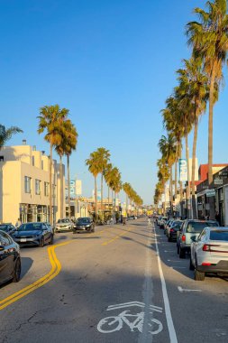 Venice Beach, Kaliforniya, ABD - 18 Nisan 2024: Venedik Plajı, Los Angeles 'taki Abbot Kinney Bulvarı' nda uzun palmiye ağaçları, yerel dükkanlar ve mavi gökyüzüne karşı yol boyunca park edilmiş arabalar