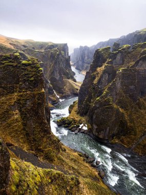 Fjadrargljufur vadisinin dik yosunlu duvarları Güney İzlanda 'daki kıvrımlı Fjadra nehrinin çerçevesini yumuşak gri bir gökyüzünün altında yapar.