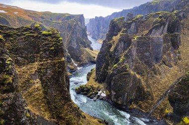 Fjadrargljufur vadisinin dik yosunlu duvarları Güney İzlanda 'daki kıvrımlı Fjadra nehrinin çerçevesini yumuşak gri bir gökyüzünün altında yapar.
