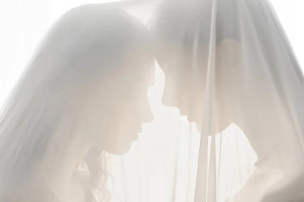 温文尔雅的同性恋夫妇在明亮的灯光下 在婚纱下触摸额头 — 图库照片
