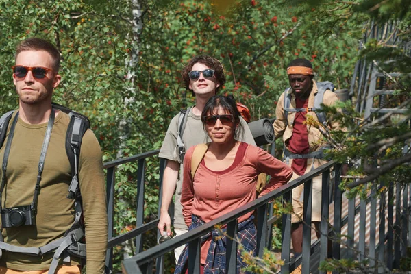 一群带着旅行袋的跨林桥徒步旅行者在夏天一起徒步旅行 — 图库照片