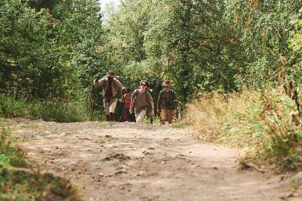 一群背著袋子在森林小径上行走的年轻徒步旅行者 — 图库照片