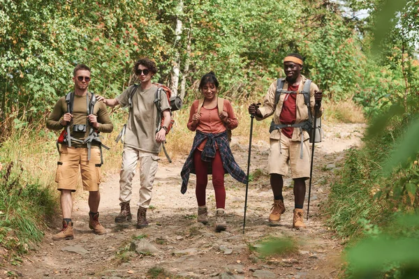 一群身穿休闲装 背着背包在森林中远足的多民族青年朋友 — 图库照片