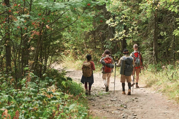 背负背包的年轻背包客走在林间小径上的背景图 — 图库照片