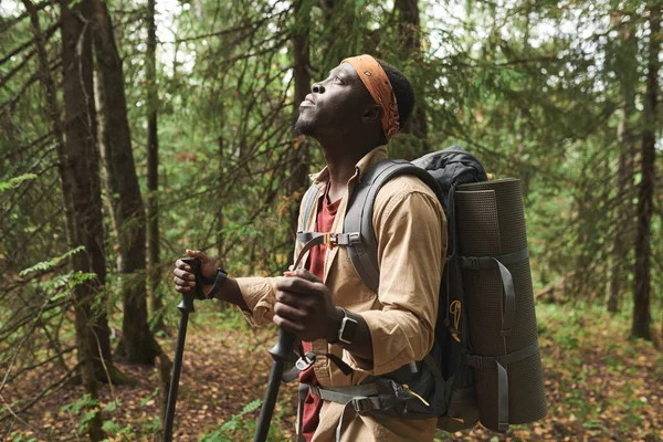 身穿橙色头巾的年轻的非洲裔美国人一边看着树木 一边在森林中决定世界的面貌 — 图库照片