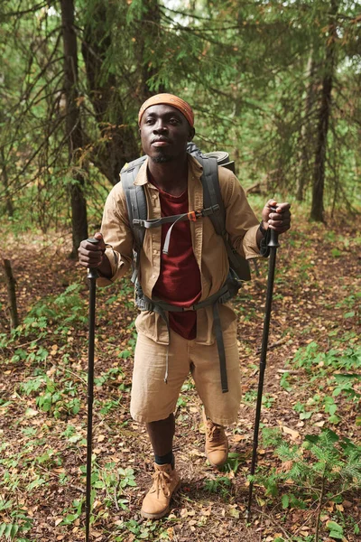 心满意足的年轻黑人背着背包 一边享受北方人在森林里散步的乐趣 一边用柱子 — 图库照片