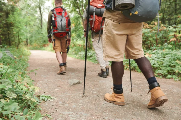 背中にバッグを背負った快適なブーツを履いた認識できない多民族ハイカーのグループと森の中の道を歩く — ストック写真