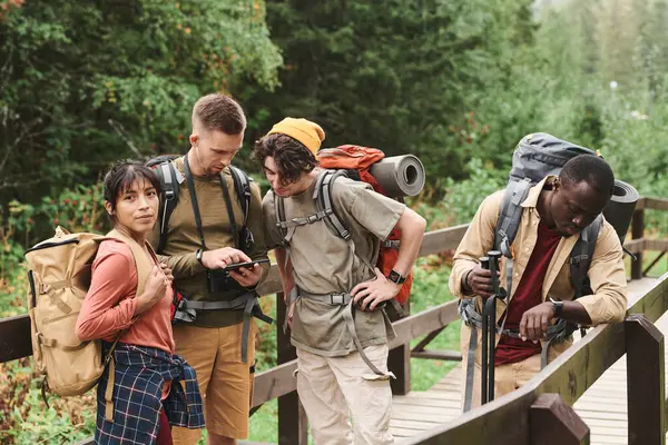 一群年轻的多种族徒步旅行者背着背包站在林间桥上 通过电话分析路线 — 图库照片
