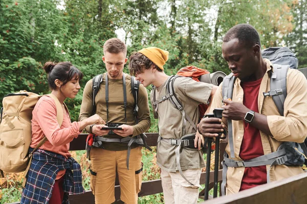一群背着背包的年轻徒步旅行者一边打电话 一边讨论森林桥上的路线 — 图库照片