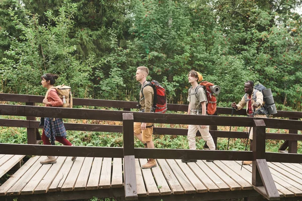 一群年轻的多种族徒步旅行者背着背包在桥上行走 在森林中远足 — 图库照片