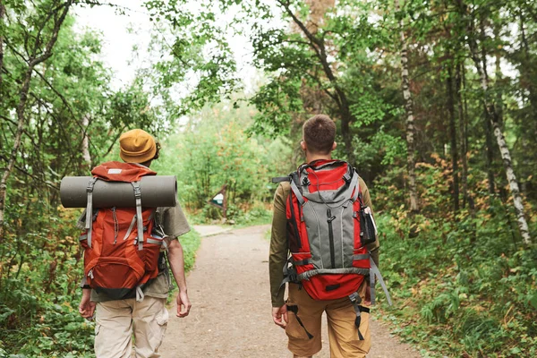 秋に一緒にハイキングしながら森の道を歩くバックパックを持つ男性の背面ビュー — ストック写真