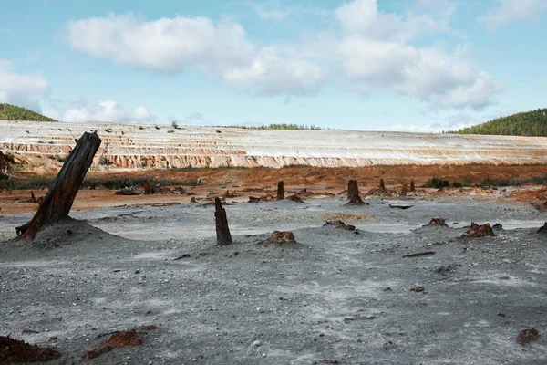 Elhagyott Szennyezett Terület Kiégett Csonkokkal Szürke Homokos Földön — Stock Fotó