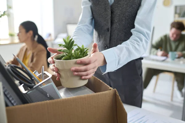 Close Businesswoman Packing Her Things Cardboard Box Layoff — Stock Photo, Image