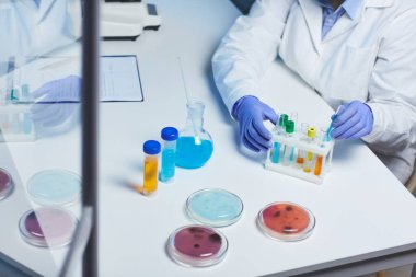 Beyaz önlüklü tanımlanamayan laboratuvar teknisyeninin yakın plan fotoğrafı. Masada oturuyor ve test tüpü rafında biyolojik örnekler sıralıyor.