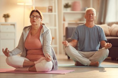 Huzurlu yaşlı çift, gözleri kapalı oturma odasında bacak bacak üstüne atmış, meditasyon yapıyorlar.