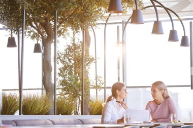 İçerik yaratıcı pazarlama uzmanları modern eko kafede oturuyor ve stratejiyi detaylandırırken dokümanları tartışıyorlar.