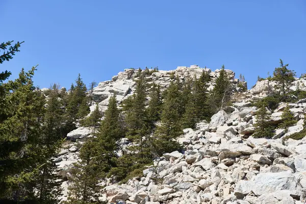 松林で覆われた岩山で走る白い石の風景 ジラトルク国立公園 ロシア ロイヤリティフリーのストック写真