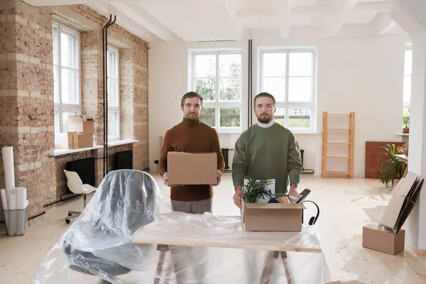 Portrait Young Twin Brothers Sweaters Standing Desk Polyethylene Putting Moving — Stock Photo, Image