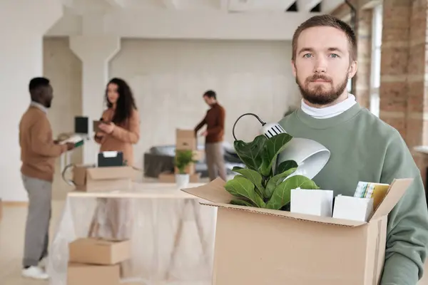 Portrait of serious young bearded company employee in sweater holding open moving box with lamp and plant while leaving old office