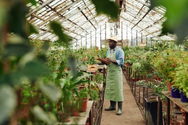 Önlük ve şapka takmış Afro-Amerikan bir adamın serada elinde bir panoyla durup not tutarken çekilmiş uzun bir görüntüsü.