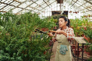 İşaretli gömlek ve önlük giyen genç bir kadın serada çalışıyor.