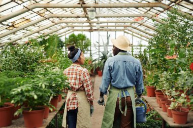 Serada birlikte çalışan genç bir adamla kadının bir şey hakkında konuştuğu arka plan görüntüsü.
