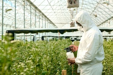 Tarlalarda çalışırken koruyucu giysi giyip bitkilere kimyasal sıvı sıkarken tanınmayan birinin yan görüntüsü.