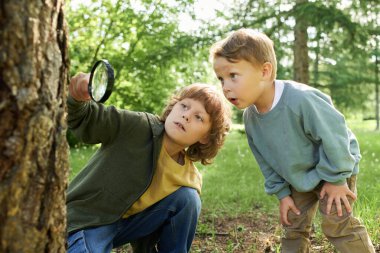 Büyüteç kullanan iki çocuğun portresi ve yeşil ormandaki böceklere ve böceklere bakarak doğayı keşfediyorlar.