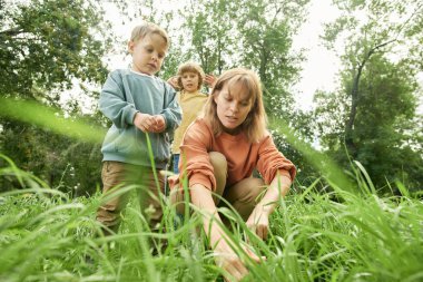 Anne ve iki çocuğun uzun yeşil çimlerde böcekleri ve böcekleri ararken, doğayı keşfederken alçak açılı bir görüntü.
