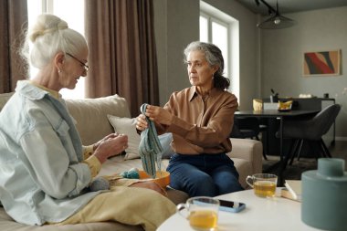 Oturma odasında rahat rahat oturan iki yaşlı kadın odaklanarak ve konsantre olarak örgü örüyorlar. Büyük pencerelerden gelen sıcak doğal ışık rahatlatıcı bir atmosfer yaratıyor.