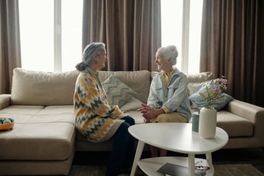 Kanepede oturan iki son sınıf öğrencisi oturma odasının penceresinden içeri giren doğal ışıkla dostça sohbet ediyorlar.