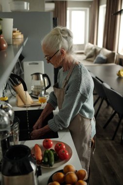 Yaşlı bir kadın mutfak tezgahında yemek için sebze hazırlıyor. Pencerelerden süzülen güneş ışığı tezgahtaki çeşitli sebzelerle modern mutfak ortamını aydınlatıyor.