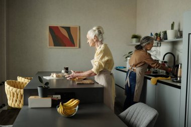İki yaşlı kadın modern mutfakta şık bir tasarım ile yemek hazırlıyorlar. İşlerine odaklanmış durumdalar, biri malzemelerini doğrarken diğeri ocakta yemek pişiriyor.