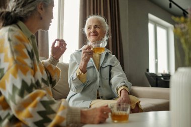 İki yaşlı kadın sıcak, güneşli bir oturma odasında çay fincanı tutarken sohbet ediyorlar. Bir kadın sıcak bir şekilde gülümsüyor, neşeli bir ortam yaratıyor.