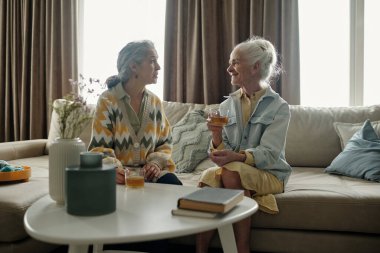 Yaşlı kadınlar kanepede oturur, içkinin tadını çıkarır ve rahat oturma odasında sohbet ederler. Geniş pencerelerden içeri güneş ışığı banyosu, ev dekoruyla rahatlatıcı bir ortam yaratıyor.