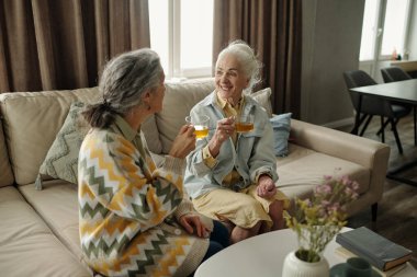 İki yaşlı kadın, sıcak bir oturma odasında içkilerini paylaşırken ve pencerelerden içeri ışık girerken mutlu mesut sohbet ediyorlar. Sıcak bir ortam yaratıyorlar.