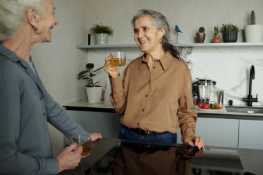Çevrelerinde modern aletler ve saksı bitkileriyle mutfakta dururken gülümseyen ve içki tutan yaşlı kadınlar. Sahne bir sohbet ve zevk anı yakalar