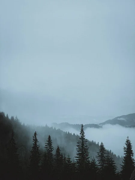 Bosque Montañoso Niebla Nubes —  Fotos de Stock