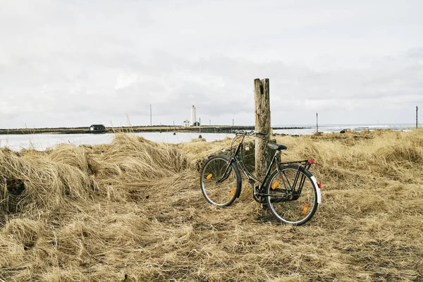 Vintage Bicycle Parked Shabby Wooden Pole Dry Grass Lake Cloudy — Stock Photo, Image