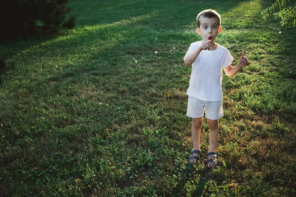 Здивований Маленький Хлопчик Вказує Пальцем Щось Відкритому Повітрі — стокове фото